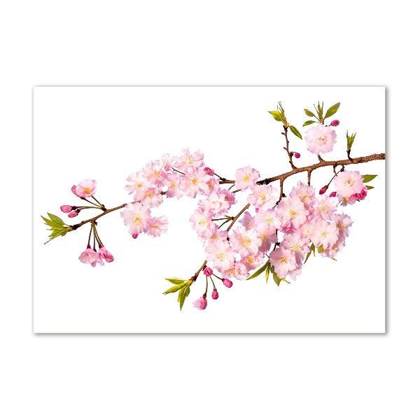 Quadro in vetro Rovo