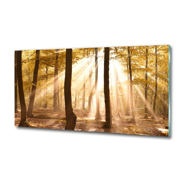 Quadro su vetro Foresta in autunno