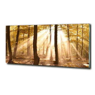 Quadro su vetro Foresta in autunno