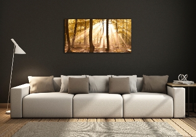 Quadro su vetro Foresta in autunno