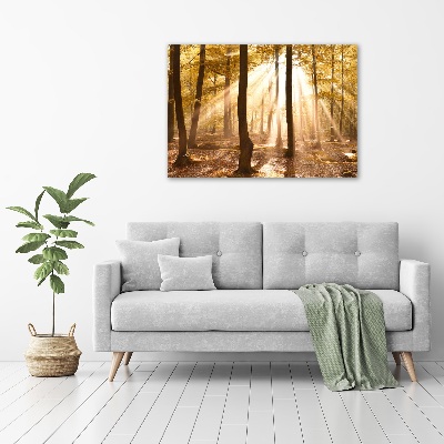 Quadro su vetro Foresta in autunno