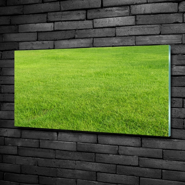 Quadro vetro Erba verde