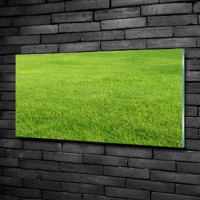 Quadro vetro Erba verde