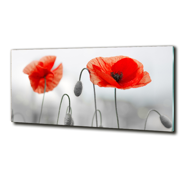 Quadro vetro Papaveri