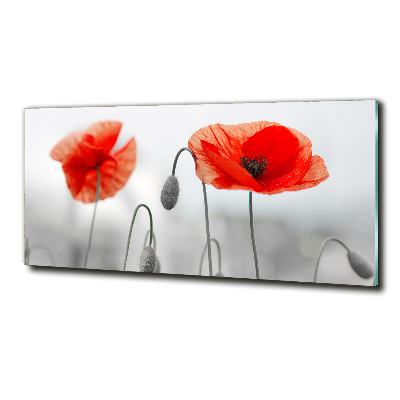 Quadro vetro Papaveri
