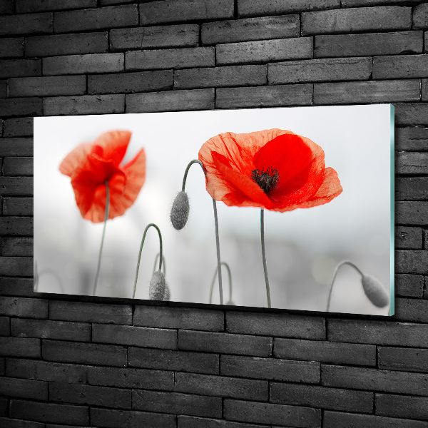 Quadro vetro Papaveri