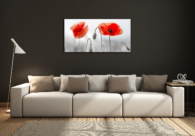 Quadro vetro Papaveri