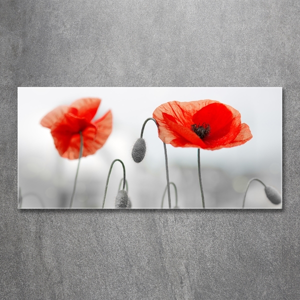 Quadro vetro Papaveri