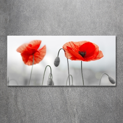 Quadro vetro Papaveri