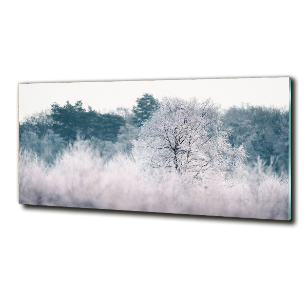 Quadro in vetro Alberi in inverno