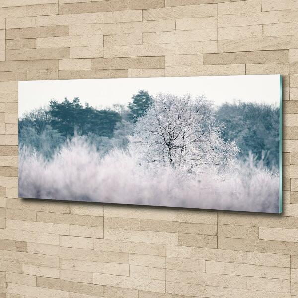 Quadro in vetro Alberi in inverno