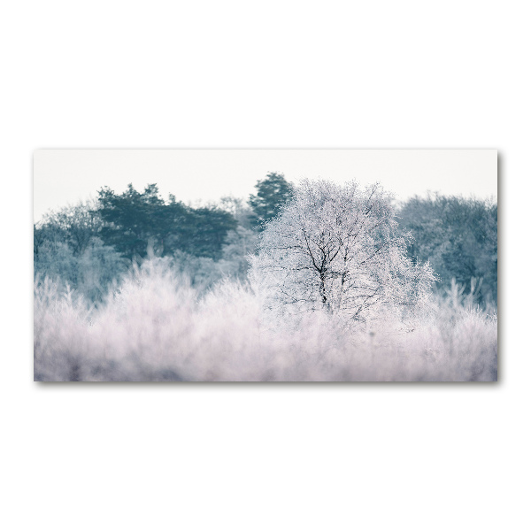 Quadro in vetro Alberi in inverno