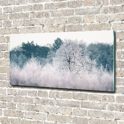 Quadro in vetro Alberi in inverno