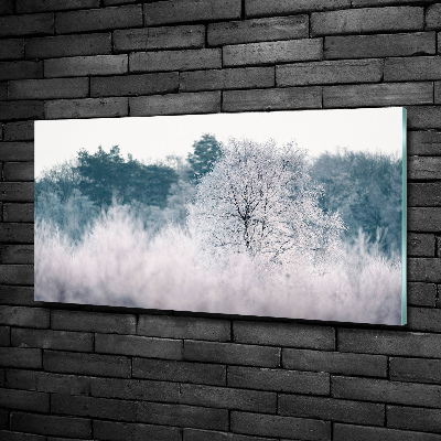 Quadro in vetro Alberi in inverno