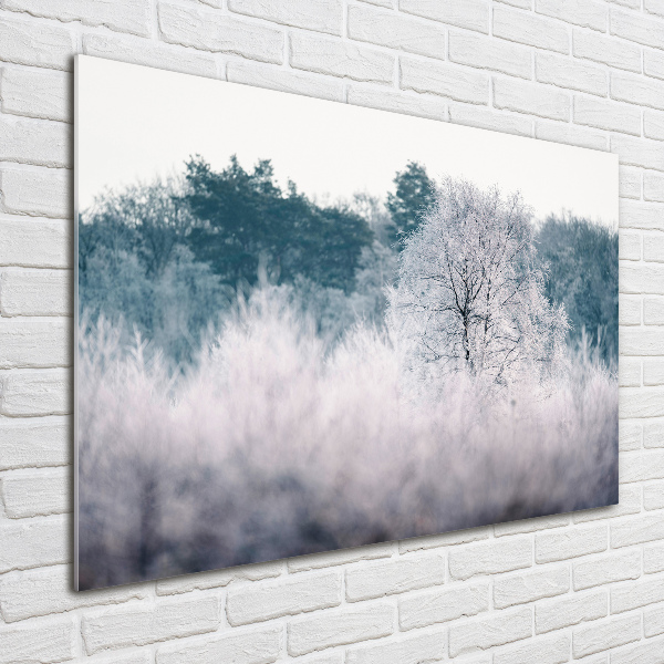 Quadro in vetro Alberi in inverno