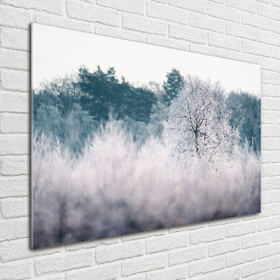 Quadro in vetro Alberi in inverno
