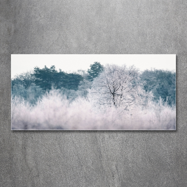 Quadro in vetro Alberi in inverno