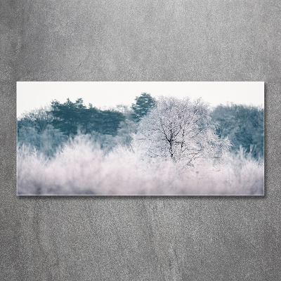 Quadro in vetro Alberi in inverno