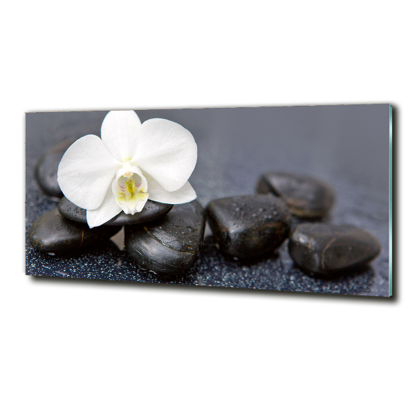 Quadro su vetro Orchidea