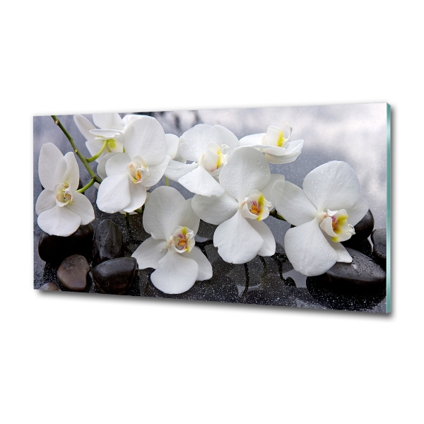 Quadro vetro Orchidea