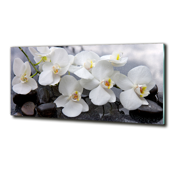Quadro vetro Orchidea