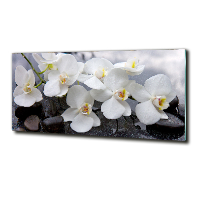 Quadro vetro Orchidea