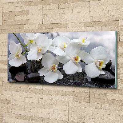 Quadro vetro Orchidea