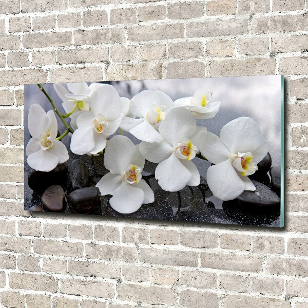Quadro vetro Orchidea
