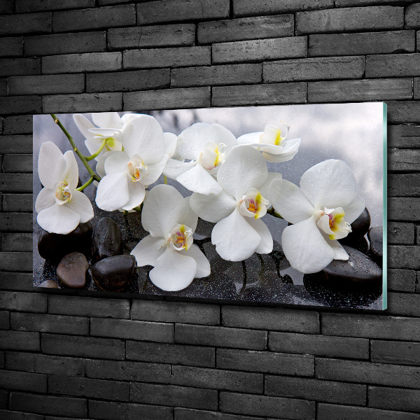 Quadro vetro Orchidea