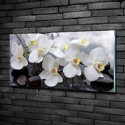 Quadro vetro Orchidea