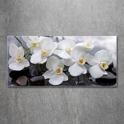Quadro vetro Orchidea