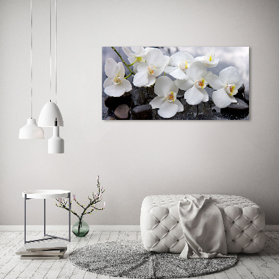Quadro vetro Orchidea