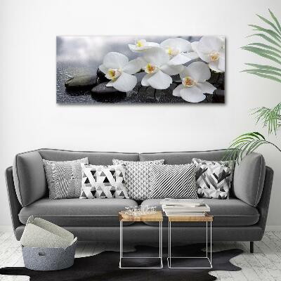 Quadro su vetro Orchidea