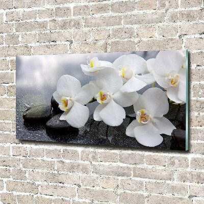 Quadro su vetro Orchidea