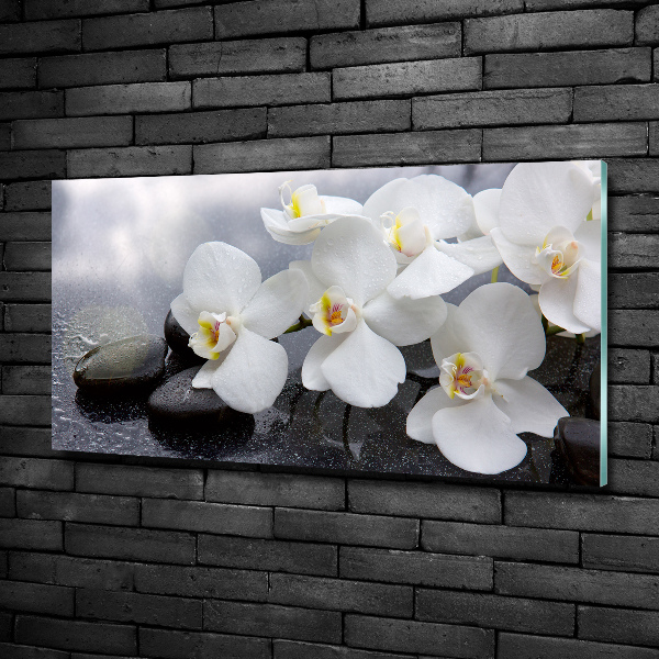 Quadro su vetro Orchidea