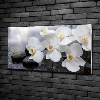 Quadro su vetro Orchidea