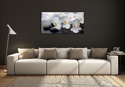 Quadro su vetro Orchidea
