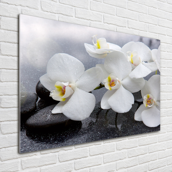 Quadro su vetro Orchidea