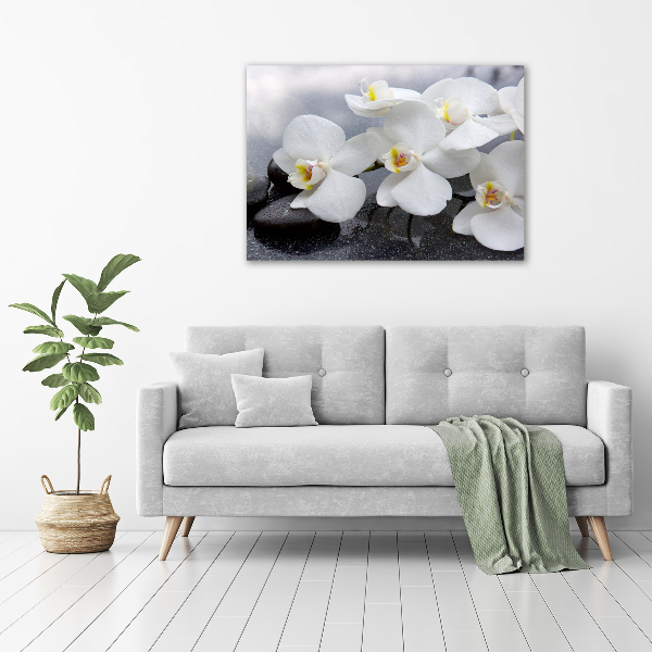 Quadro su vetro Orchidea