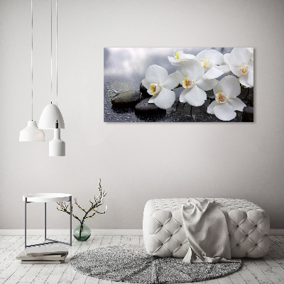 Quadro su vetro Orchidea