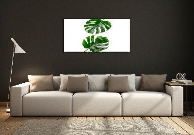 Quadro vetro Foglie tropicali