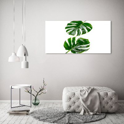 Quadro vetro Foglie tropicali