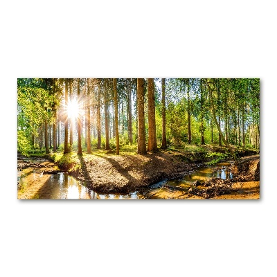 Quadro su vetro Panorama della foresta