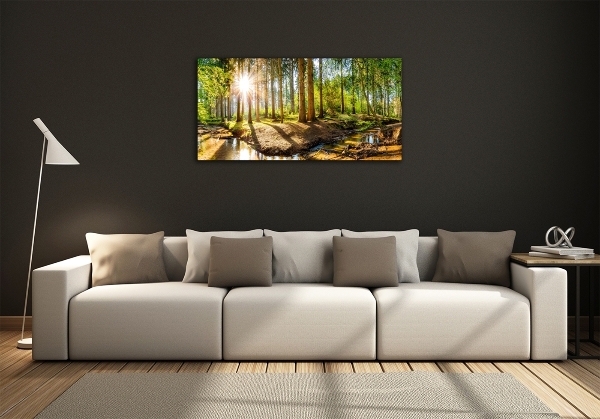Quadro su vetro Panorama della foresta