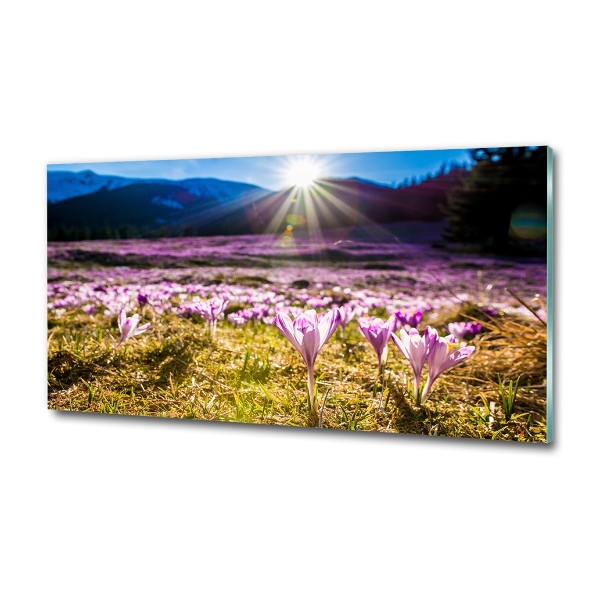 Quadro vetro Crochi nella radura