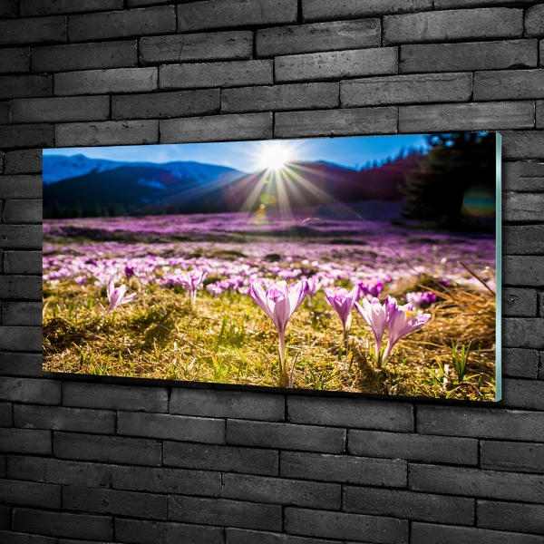 Quadro vetro Crochi nella radura