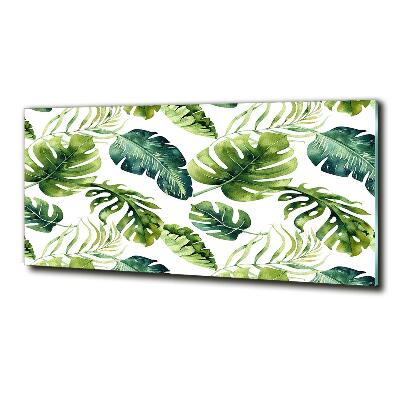 Quadro su vetro Foglie tropicali