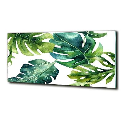 Quadro su vetro Foglie tropicali