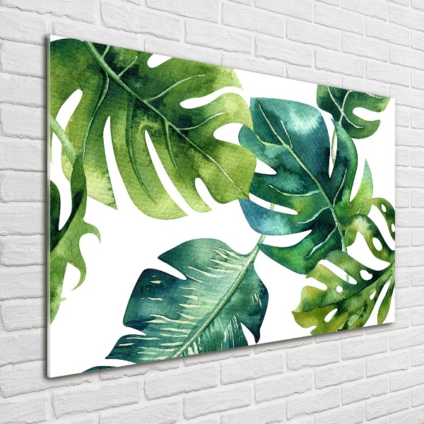 Quadro su vetro Foglie tropicali