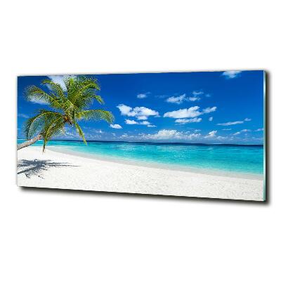 Quadro vetro Spiaggia tropicale